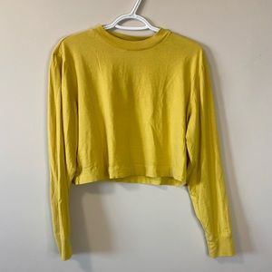 Wilfred Free Long Sleeve Crop Shirt